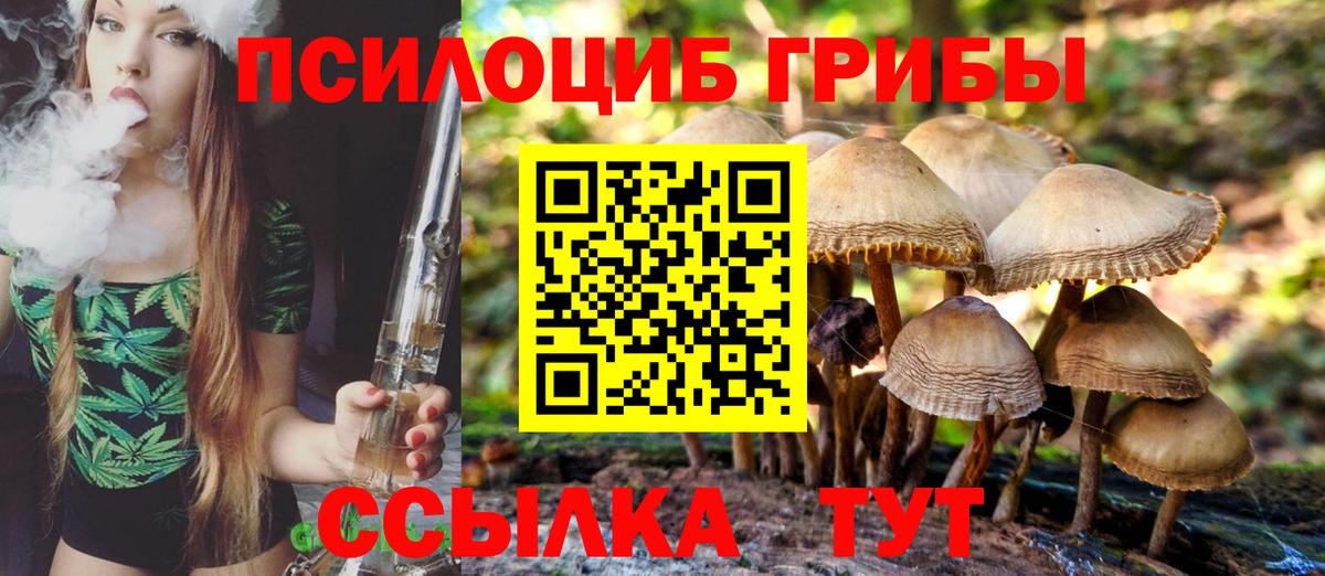 Галлюциногенные грибы мицелий Асино